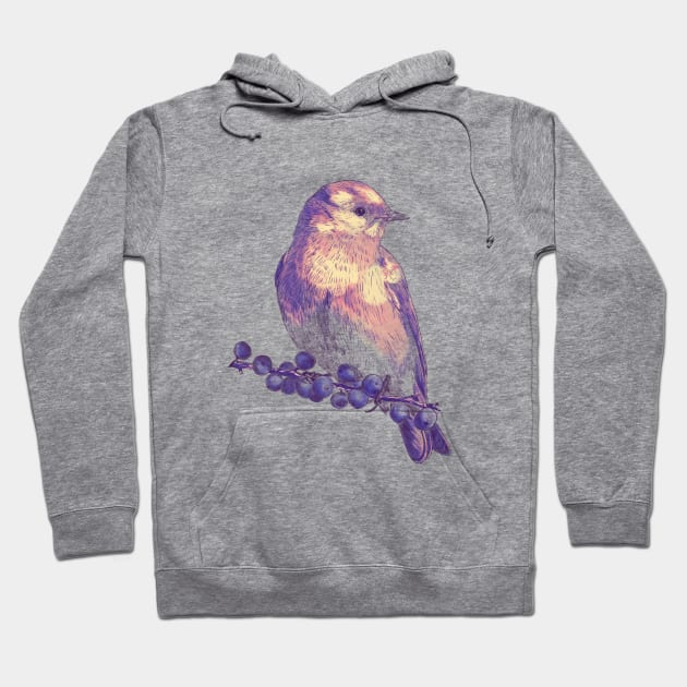 love birds Hoodie by anghewolf